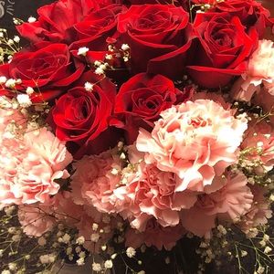 Meet your Posher, Micaela